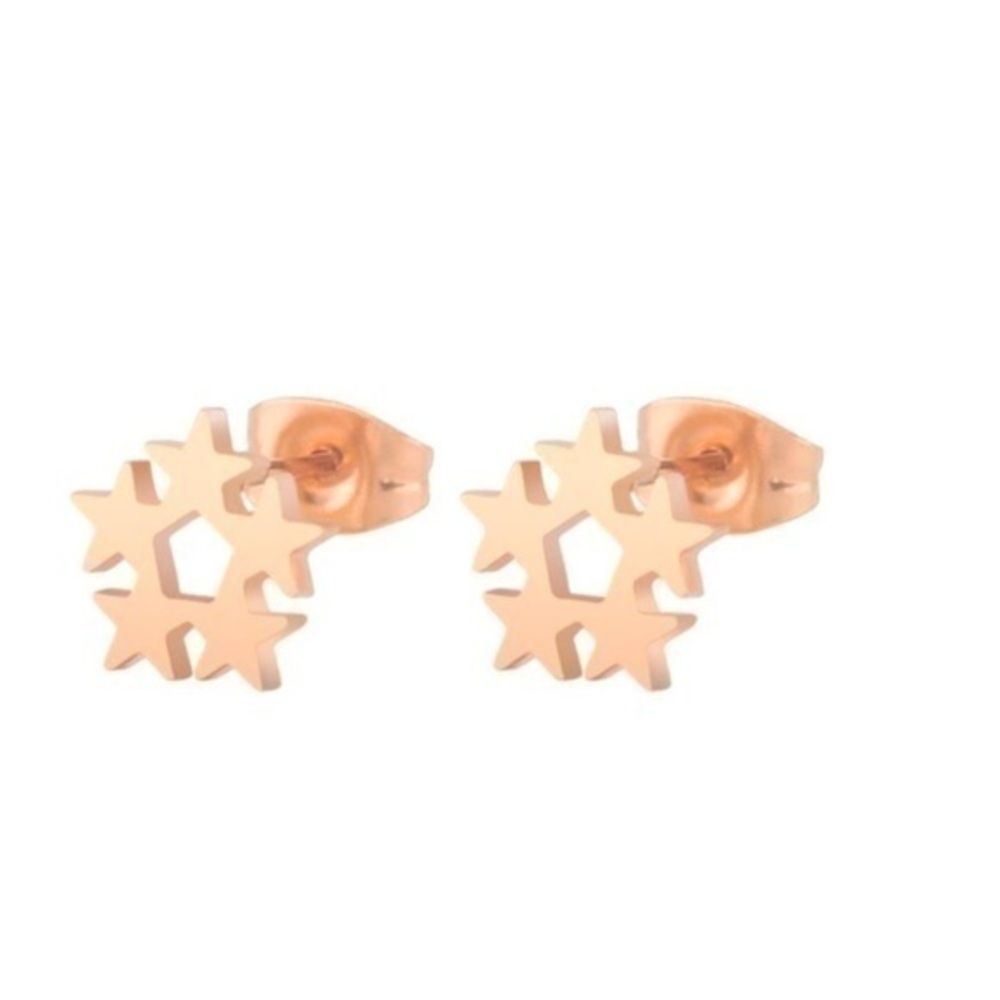Star Stainless Steel Stud Earring